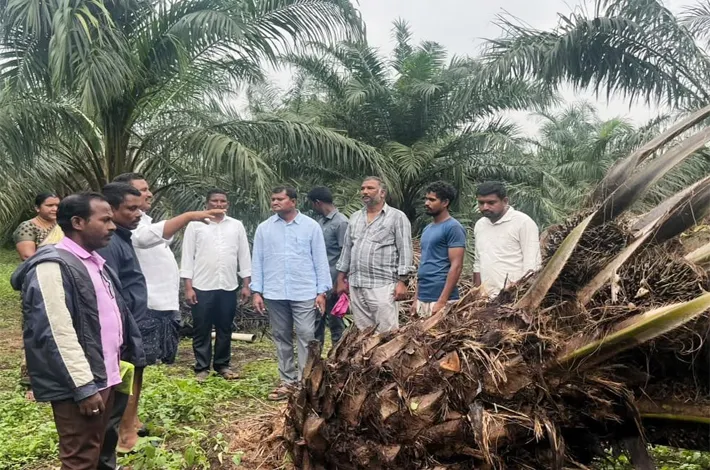 తుఫాను బాధితులకు అండగా ఉంటాం