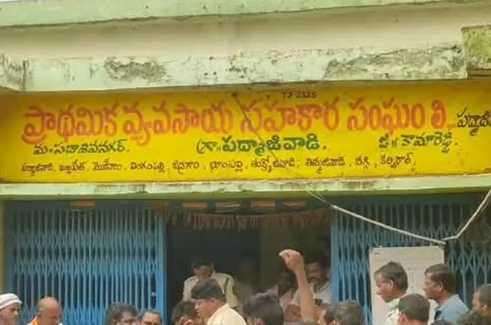 రైతులకు అందుబాటులో శనగ విత్తనాలు 