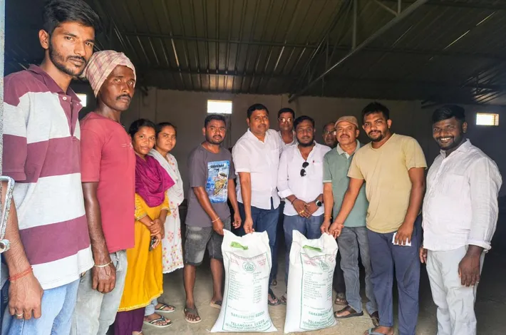 article_14410832.webp