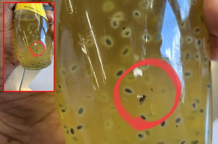 గంగారం రత్నదీప్‌లో కాలం చెల్లిన వస్తువులు!