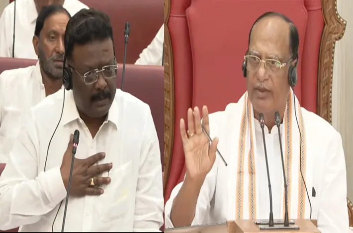 సభలో నెమ్మదిగా మాట్లాడాలి