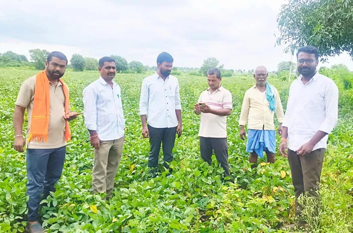 నాగలిగిద్దలో డీసీఎస్‌ పంట సర్వే పర్యవేక్షణ