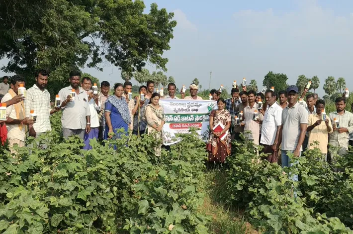 కపాస్ కిసాన్ పథకం కింద పత్తి రైతులకు శిక్షణ 
