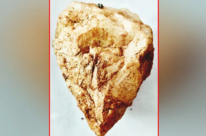 పాత రాతియుగం పనిముట్టు