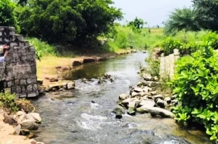 కట్టు కాల్వ కట్టకు మరమ్మతులు కరువు!