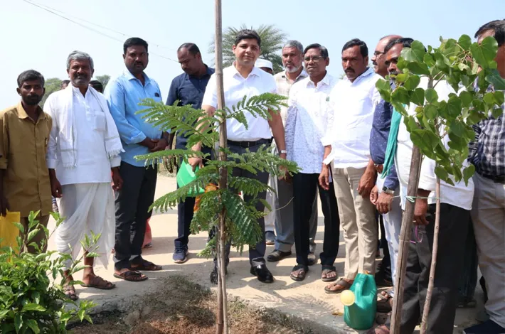 మొక్కల సంరక్షణకు ప్రాధాన్యత ఇవ్వాలి