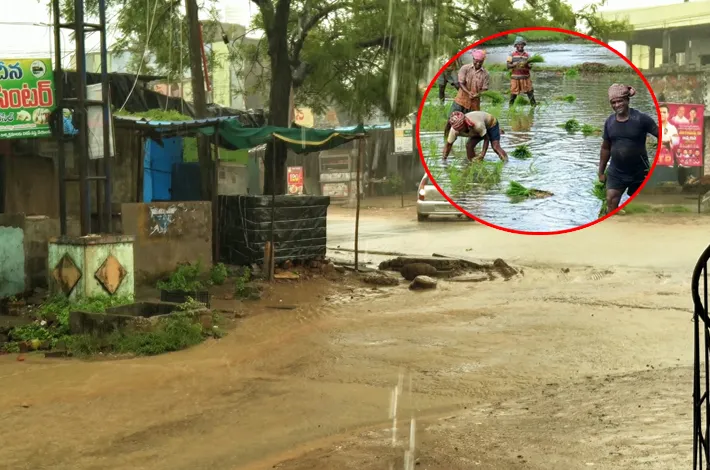 article_19721085.webp
