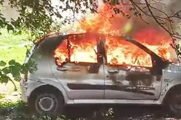 article_20244455.webp