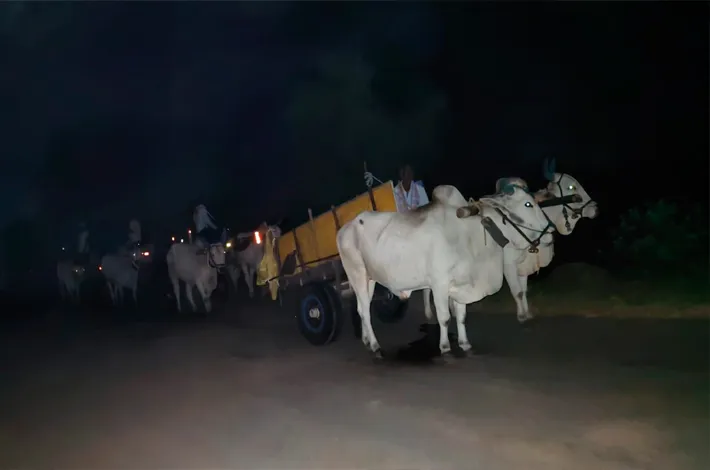ఆగని ఇసుక అక్రమ తవ్వకాలు