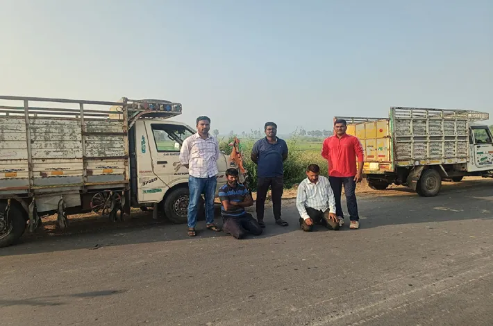 అక్రమంగా తరలిస్తున్న 11 ఆవుల పట్టివేత