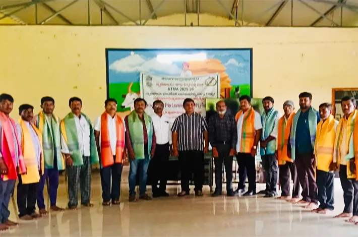కనుకులలో విద్యుత్ సిబ్బందికి ఘనంగా సన్మానం