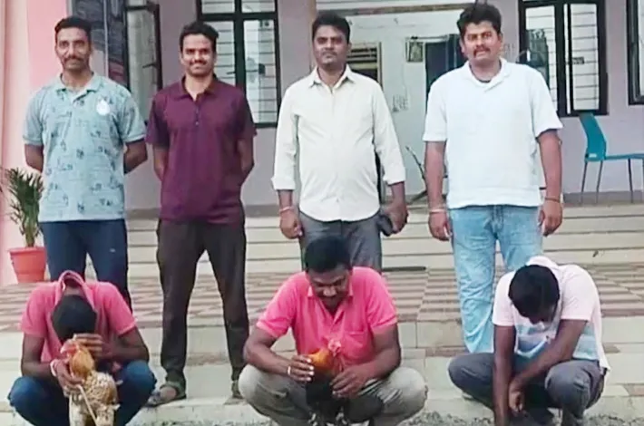 కోడిపందాలు ఆడుతూ పట్టుబడిన ముగ్గురు బైండోవర్