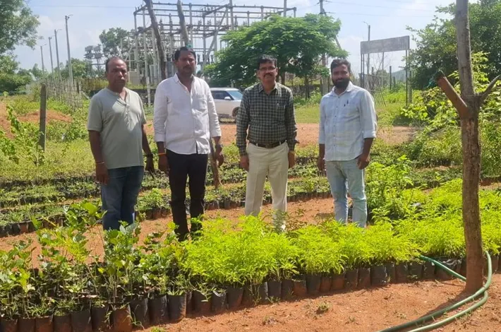 కుర్తివాడలో డీపీఓ యాదయ్య ఆకస్మిక పర్యటన