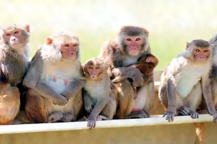 https://vijayakranthinews.com/uploads/articles/article_38502738.webp