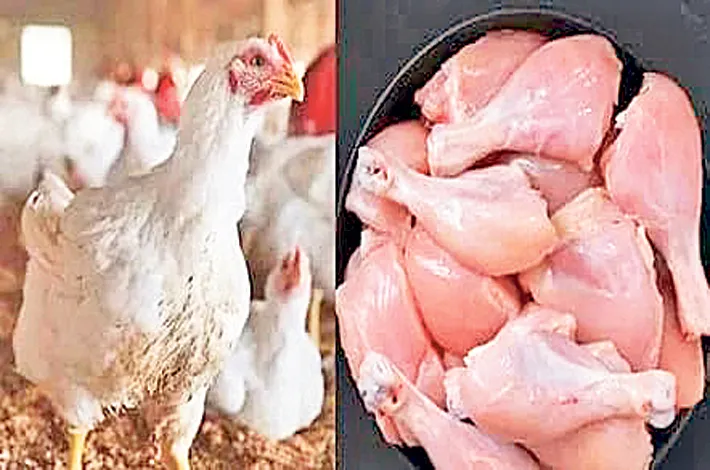 కొండెక్కిన కోడి ధర