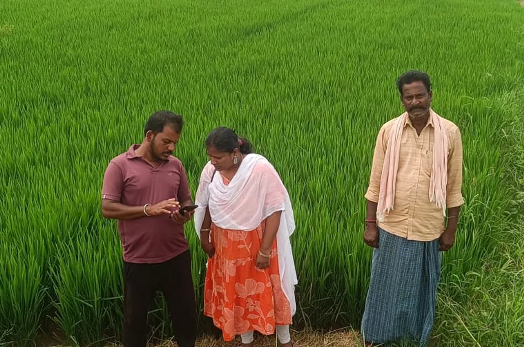 పంట వివరాల నమోదుపై ఏఈఓ దత్తేశ్వరి ఫోకస్