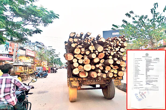 జరిమానాలతోనే సరి?