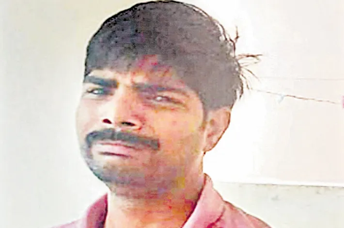 article_48062361.webp