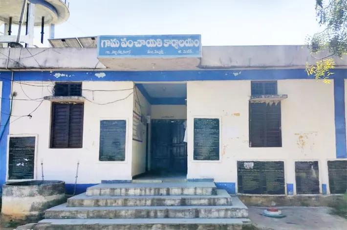 కో ‘ఆప్షన్‌ల’ పై కన్ను..