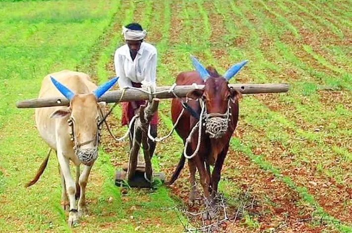 రైతుల గుర్తింపు ఇంకా లెక్కింపులోనే!
