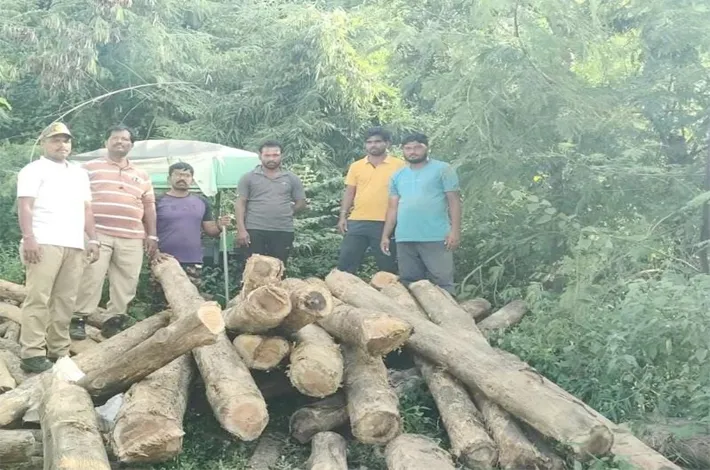 అక్రమంగా నిల్వ ఉంచిన టేకు కలప స్వాధీనం