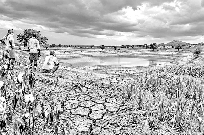 ఎల్ నినోపై తగిన కార్యాచరణ