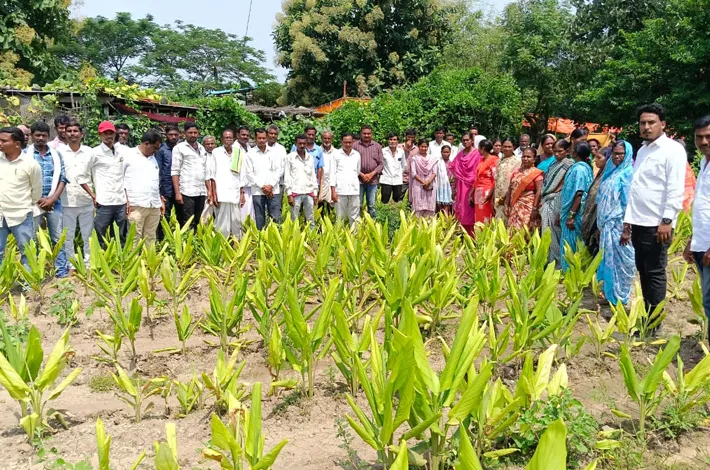 రసాయనాలకు నో.. సేంద్రియానికి ఓకే!