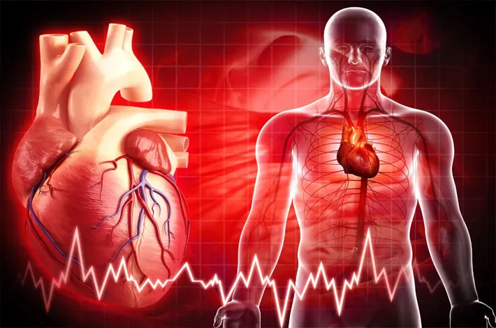గుండె ఆరోగ్యానికి ఈ 5 సూత్రాలు