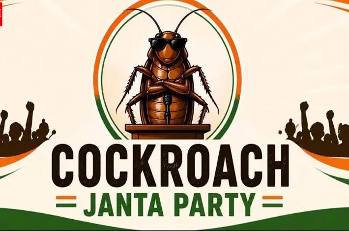 మళ్లీ బయటకొస్తున్నా.. బొద్దింకలు!