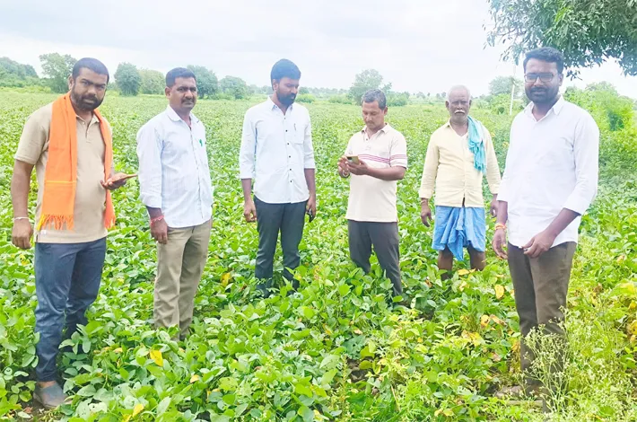 నాగలిగిద్దలో డీసీఎస్‌ పంట సర్వే పర్యవేక్షణ