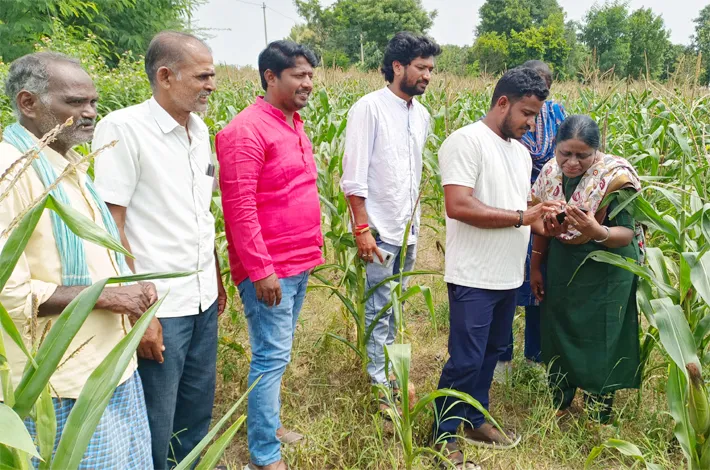 డిజిటల్ క్రాప్ సర్వే పంట నమోదు తప్పనిసరి