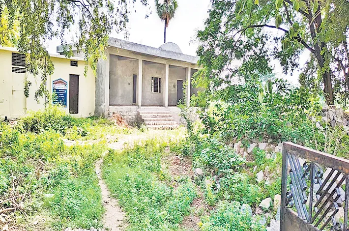 article_65888475.webp