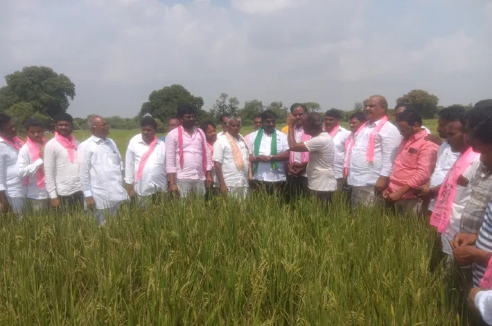 పంట నష్టపోయిన రైతులను ప్రభుత్వం ఆదుకోవాలి
