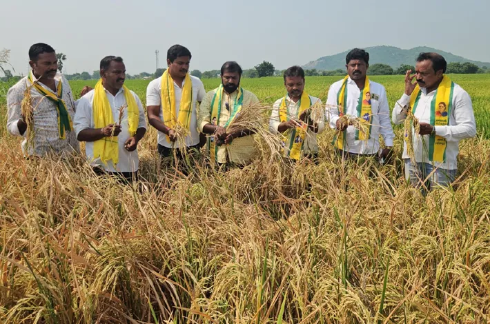 రైతులకు  ఉచిత విద్యుత్ అందించాలి