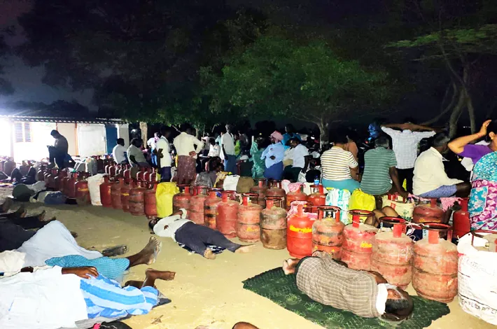 article_74778807.webp