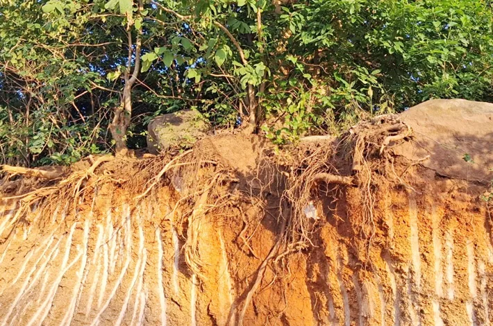 రెవెన్యూ గుట్టలకు అక్రమ మట్టి తవ్వకాల గండం