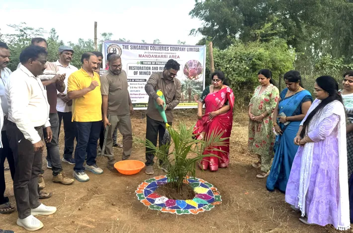 సింగరేణి చరిత్రలో తొలిసారి ఆయిల్ పామ్ తోటలు