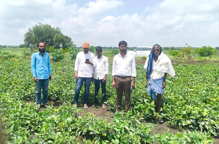డీసీఎస్‌ సర్వేను పరిశీలించిన అధికారులు