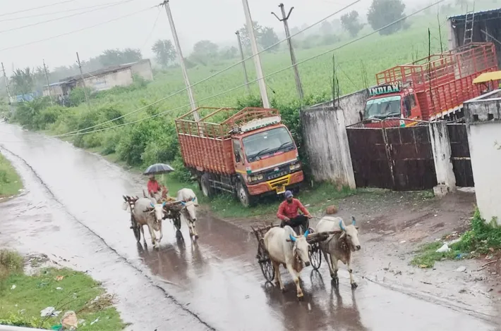 వర్షం.. పంటలకు ప్రాణం