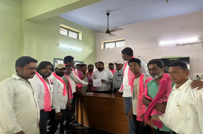 మంచినీటి నుంచి దోమల వరకు