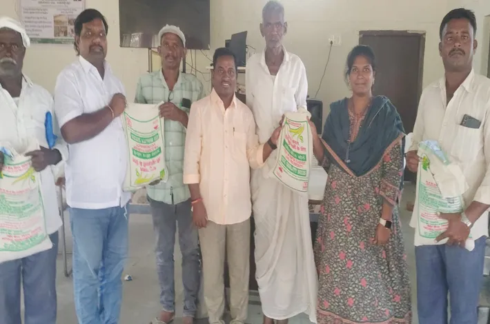 సబ్సిడీపై కందులు శనిగలు పంపిణీ చేసిన ఏవో సాయికిరణ్