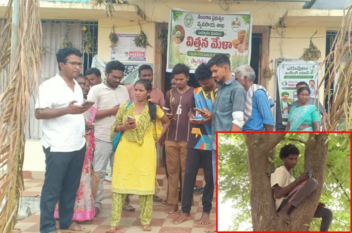 చెట్టేక్కితేనే సిగ్నల్!