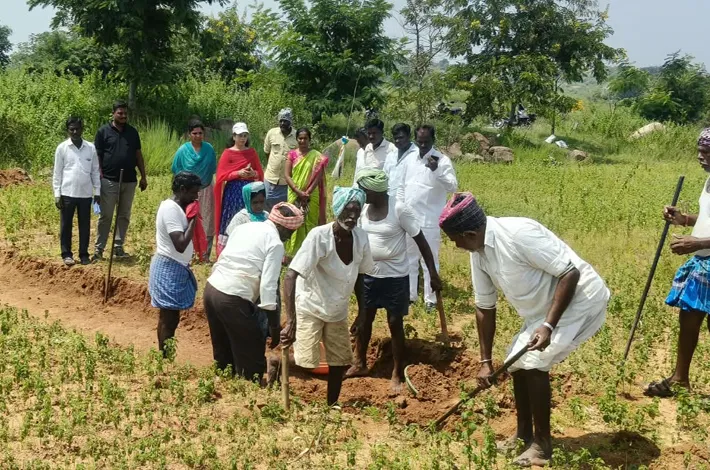 నాణ్యతతో ఫామ్‌ పాండ్‌ నిర్మాణం!