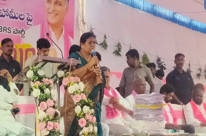  పట్టణాల్లో హైడ్రా.. పల్లెల్లో భూముల నిషేధం!